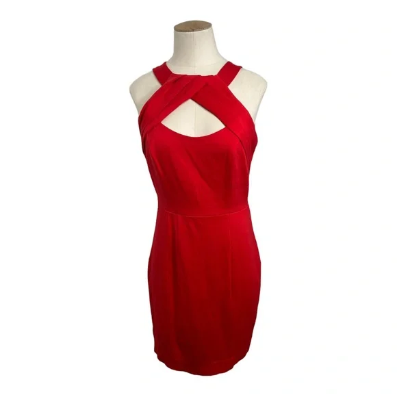 cynthia steffe red dress Cynthia Steffe Red Halter Tear Drop Keyhole Body-con Size 2 Dress